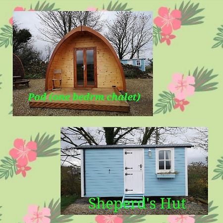 Westport Glamping At Doon Angus Farm 빌라 외부 사진