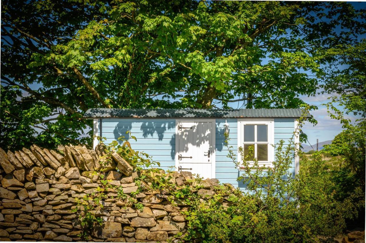 Westport Glamping At Doon Angus Farm 빌라 외부 사진