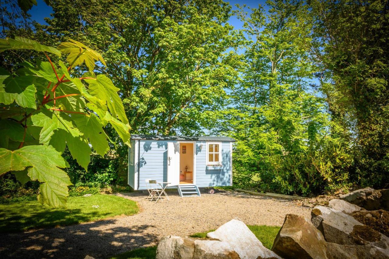Westport Glamping At Doon Angus Farm 빌라 외부 사진