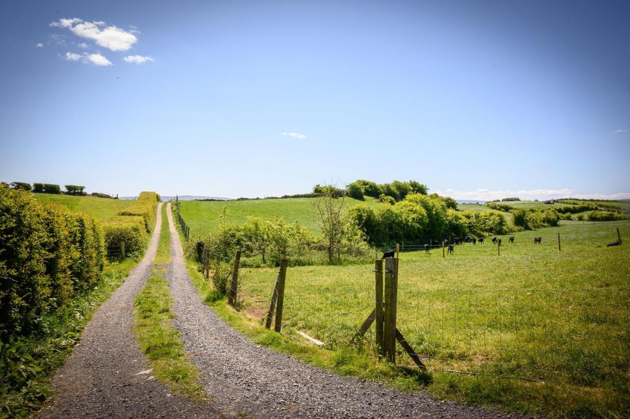 Westport Glamping At Doon Angus Farm 빌라 외부 사진