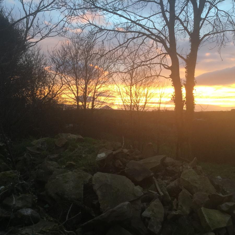 Westport Glamping At Doon Angus Farm 빌라 외부 사진