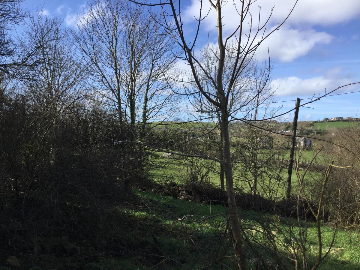 Westport Glamping At Doon Angus Farm 빌라 외부 사진